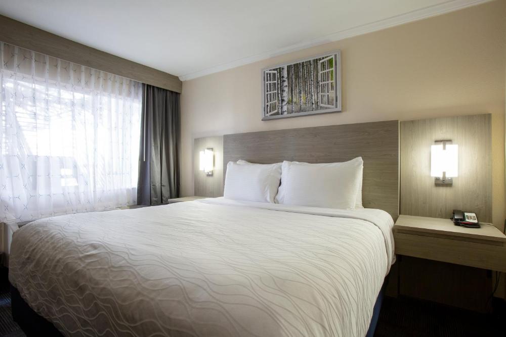 King Room interior